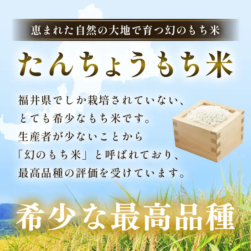 【先行予約】年内発送  丸餅 約1kg 80g × 13個 【2026年12月14日～12月25日の期間に順次発送】 [e35-a034]