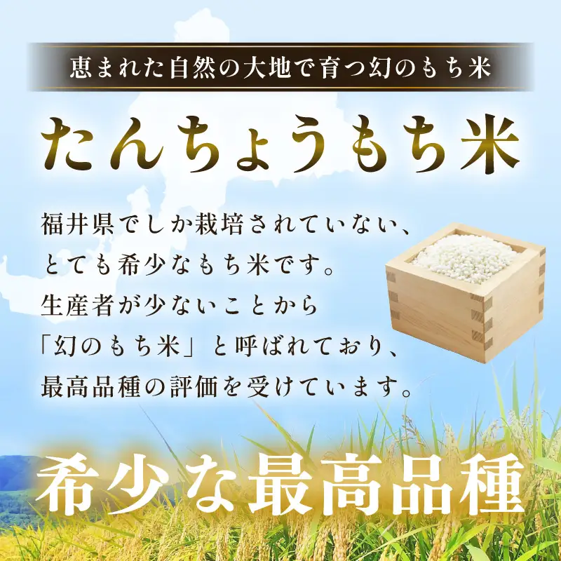 【先行予約】年内発送  丸餅 約2kg 80g × 26個 【2026年12月14日～12月25日の期間に順次発送】 もち  [e35-a035]