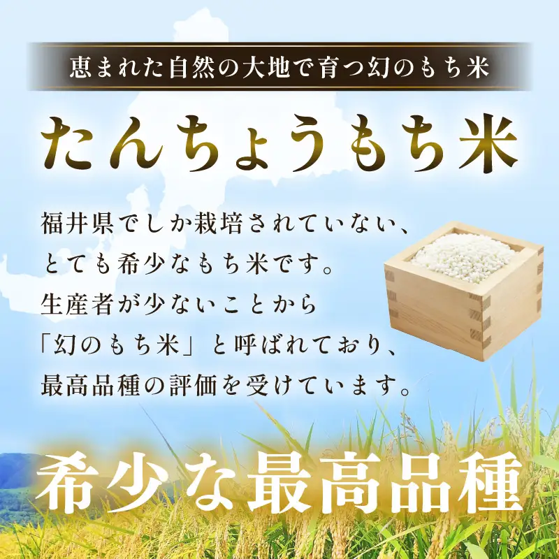 【先行予約】年内発送  丸餅 約3kg 80g × 39個 【2026年12月14日～12月25日の期間に順次発送】  [e35-b003]