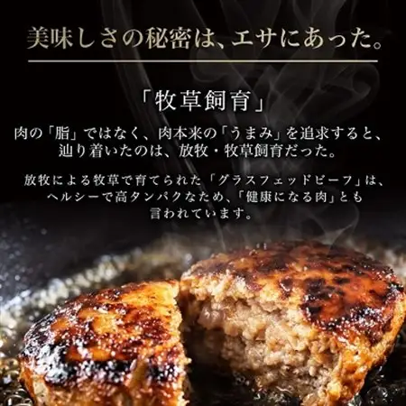 和牛道ハンバーグ120g×10食セット 北海道 大樹町 国産 黒毛和牛 グラスフェッドビーフ_肉 ハンバーグ 牛肉 _【配送不可地域：離島】【1439972】
