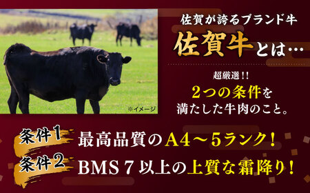 佐賀牛 おまかせ ステーキ 500g / ステーキ [IAX035]