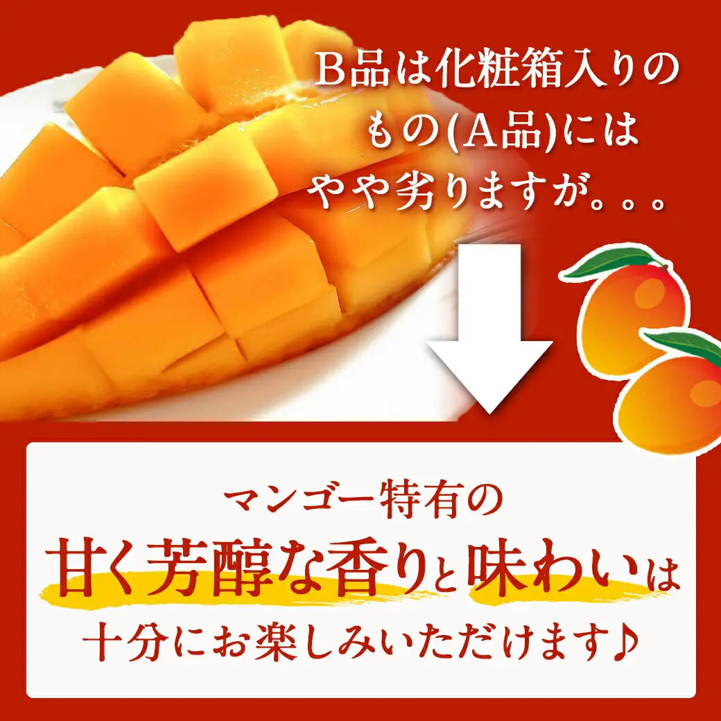 【先行受付!】宮崎県産完熟マンゴー(B品)【2L×1玉、3L×1玉】≪2026年5月中旬以降順次お届け≫〔21-0101〕_(都城市) 宮崎県産完熟マンゴー 【B等級】 2L 3L 完熟マンゴー 甘く芳醇な香り「2玉」セット