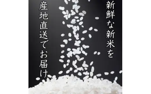 和歌山県産 キヌヒカリ 5kg(2025年産)  産地直送 米 こめ ご飯 ごはん 【sml400-kinu-5D】