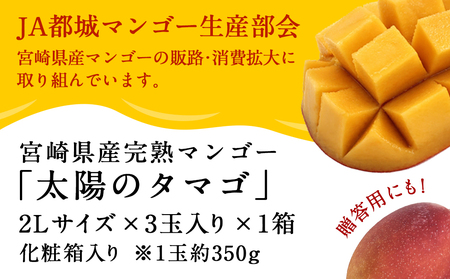 【先行受付!】宮崎県産完熟マンゴー 太陽のタマゴ【2L×3玉】化粧箱入り≪2026年5月中旬以降順次お届け≫_AF-0116
