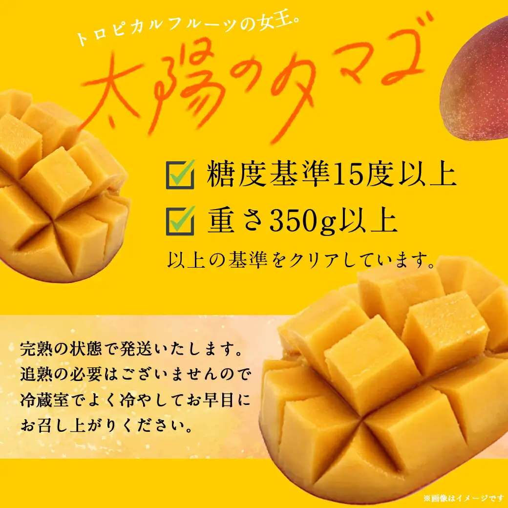 【先行受付!】宮崎県産完熟マンゴー 太陽のタマゴ【3L×2玉】化粧箱入り≪2026年5月中旬以降順次お届け≫_AF-0115