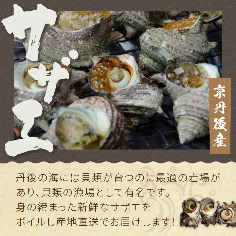 大満足！京丹後・海鮮BBQ　Bセット　貝づくし蒸しアワビ付　4種14品（3～4人前）（2026年4月中旬～発送） 魚介 さざえ 蠑螺 カキ かき ほたて エビ 海老 あわび 鮑 バーベキューキャンプ アウトドア ふるさと納税 海鮮BBQ