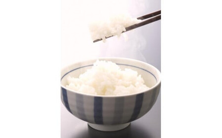 ▼米 にじのきらめき 和歌山県産 5kg（2025年産）  産地直送 米 こめ ご飯 ごはん （お届け日指定不可） 【sml400-niji-5B】