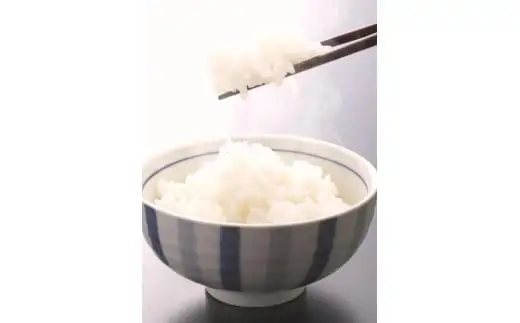 米 にじのきらめき 和歌山県産 5kg（2025年産）  産地直送 米 こめ ご飯 ごはん ※2024年9月25日以降順次発送予定 （お届け日指定不可）【sml400-niji-5】