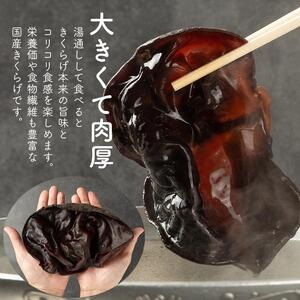 （訳あり）生きくらげ１kg
