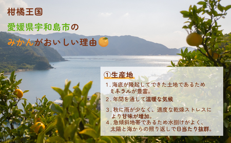 【柑橘】はれひめ4kg家庭用みかん協徳ガーデン愛媛みかん|B012-178001