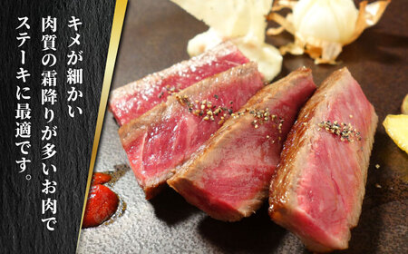 【全6回定期便】あか牛 ロース ステーキ セット 200g×2枚【有限会社 三協畜産】 国産 赤身 赤牛 褐牛 あかうし [ZEB070]