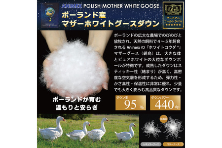 【春秋用】 高級 軽量 羽毛布団 シングル 合掛け 中厚  ( エリーヌ 青 柄 ) ｜[川村羽毛 山梨県 韮崎市 20743617]