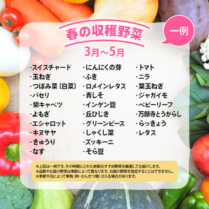 【定期便】道の駅 竜王 かがみの里 旬の野菜セット 全3回