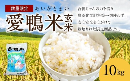 〈令和7年産〉愛鴨米 玄米 10kg【2025年10月上旬～2026年10月上旬発送予定】