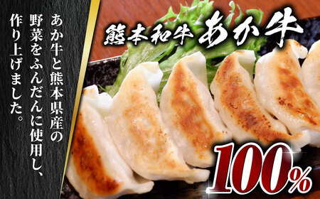 【全6回定期便】熊本和牛 あか牛ぎょうざ 20個×3箱【有限会社 三協畜産】 国産  餃子 ぎょうざ ギョウザ [ZEB077]
