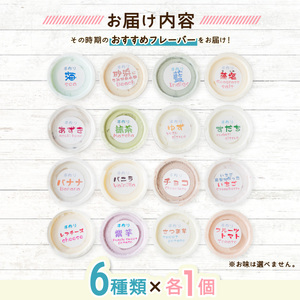 海陽町特製アイス　ユニークな味６種類セット！　