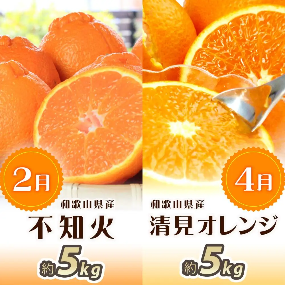 【2・4・6・8・10・12月 偶数月発送 全6回】和歌山産 旬のフルーツ お楽しみ 定期便 【魚鶴商店】【UT113】