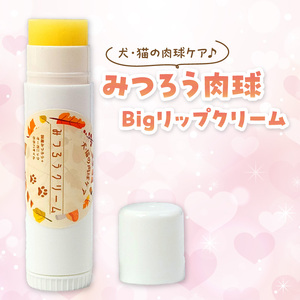 【ペット専用】みつろう肉球クリーム Bigリップクリーム 《 ペットグッズ 犬 ケア みつろう リップクリーム クリーム ホホバオイル 》【2400N13310】
