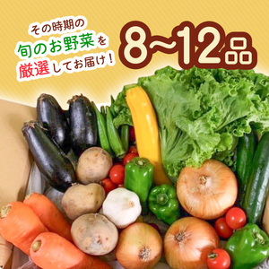 阿波の国海陽町　旬のお野菜詰め合わせセット8‐12品