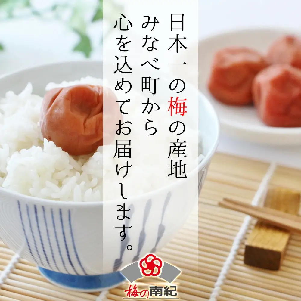 まけん梅(R) はちみつ漬 蜜宝梅 3kg(500g×6) 塩分約5％ 梅干し 紀州南高梅 nankiume003B【nankiume003B】