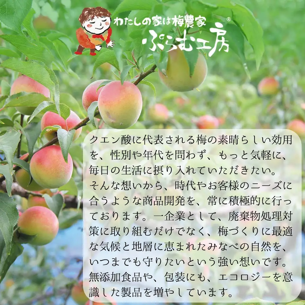 プレミアムダイヤモンド梅9個入  塩分約8％　iwasho001A【iwasho001A】