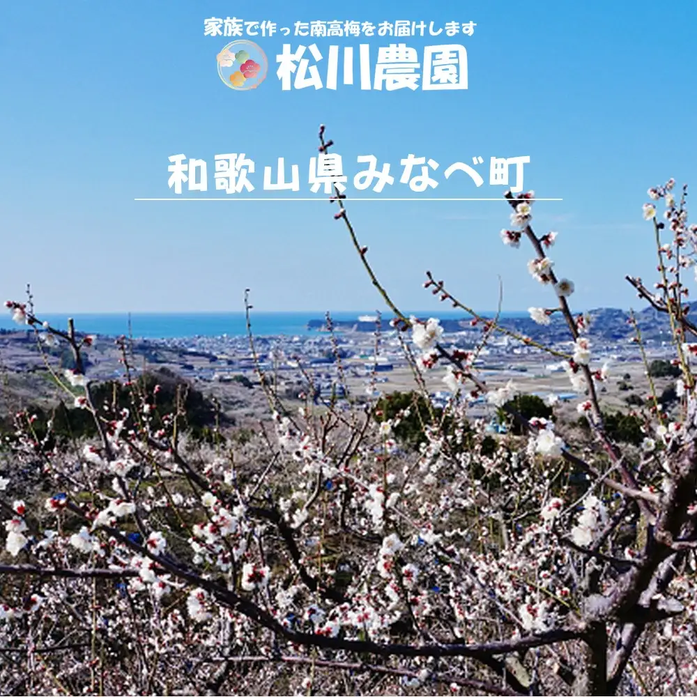 てっちゃんの梅(白干し梅) matunou001A【matunou001A】