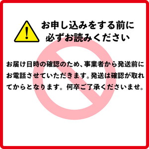 貝類Bセット N014-YZB915