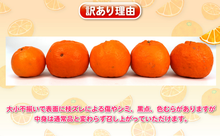 【先行予約】訳あり ポンカン 5kg 杉本屋 【2027年1月中旬～2月下旬 発送】B010-143005