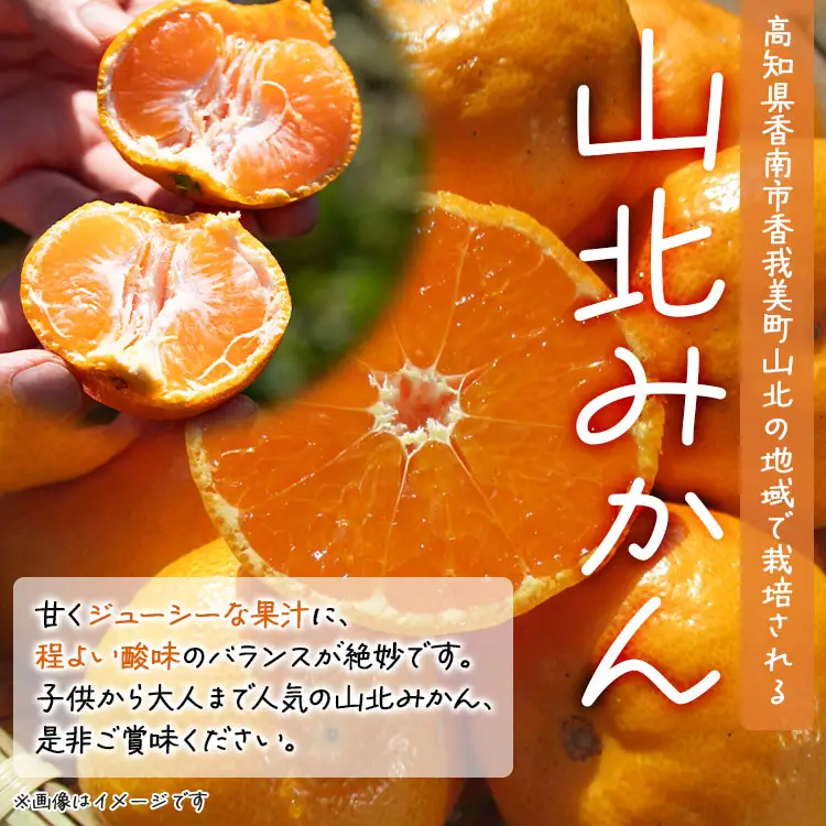 【2026年11月中旬より順次配送】山北みかん 10kg 訳あり みかん th-0027