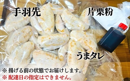 うまタレ付 手羽先 550g【からあげ壱気】 | 豊後高田市 手羽先