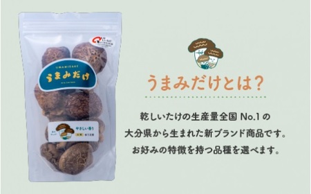 乾し椎茸セット【大分県新ブランドうまみだけ80g×3袋、こつぶ椎茸60g×2袋】 | 豊後高田市 しいたけ