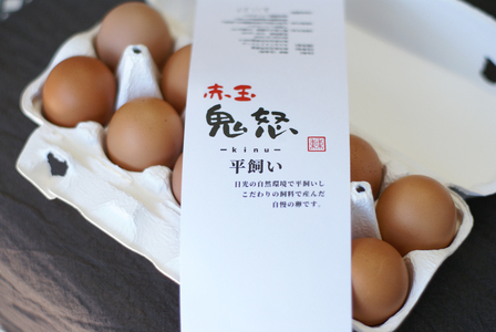 白身も美味い！平飼い新鮮卵「鬼怒」40個 [0280]