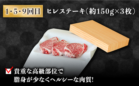 【豪華12回定期便】長崎和牛 食べ比べ [SCH055] ヒレステーキ ヒレ