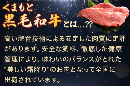 【G1認証】くまもと黒毛和牛サーロインステーキ 3枚 (計約540g)100-0001
