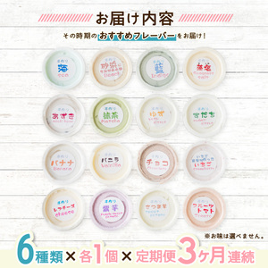 【定期便連続３か月】海陽町特製アイス　ユニークな味６種類セット！　