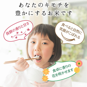 特別栽培米 コシヒカリ ヒロシノキモチ 精米 5kg ブランド米 銘柄米 国産 米 お米 日本米 ギフト 贈り物 備蓄 防災 食品 陽咲玲 はるざれ F6T-917
