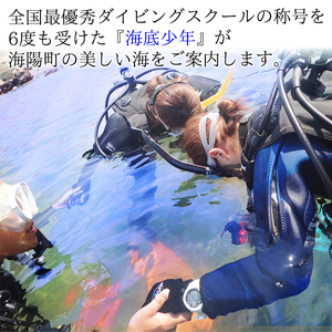 ウキウキ！ビーチダイブプラン（１名様分）　海底少年