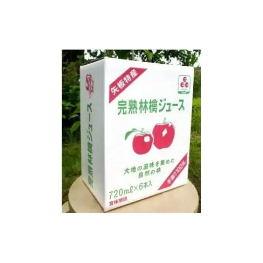 矢板市産 完熟りんごジュース《720ml×6本 2箱》｜林檎 リンゴ 果汁100% 産地直送  
