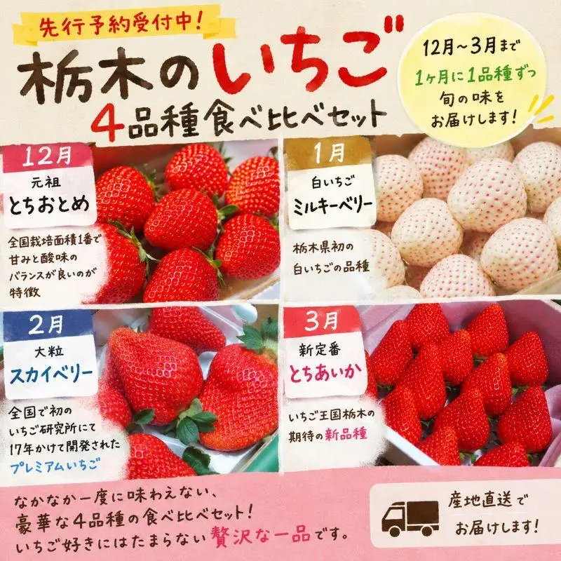 [先行予約] [4ヶ月連続定期便] 人気のいちご4品種お届け定期便 (毎月1品種お届け 計4回) 澳原いちご農園 | とちあいか とちおとめ スカイベリー ミルキーベリー 栃木県産 期間限定 数量限定