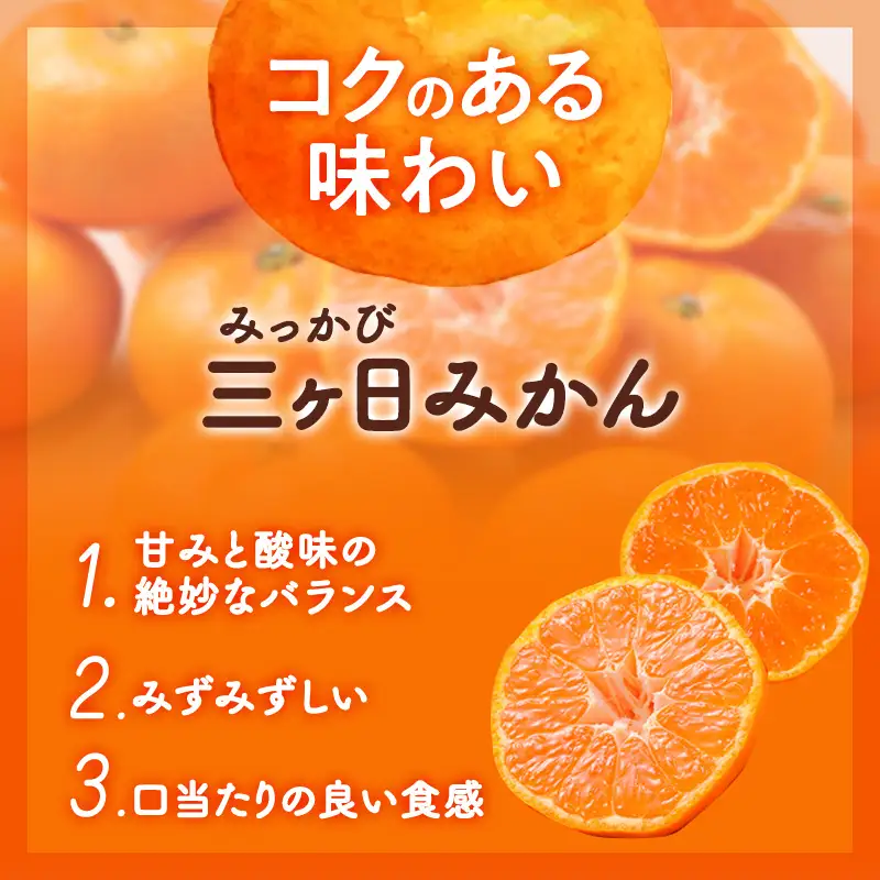 三ヶ日みかん 青島 6kg L～2L 青島みかん みかん 蜜柑 ミカン 果物