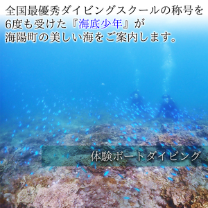ボート体験ダイビング＋初めての方のSUPクルージング（１名様分）　海底少年