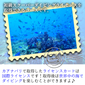 海陽町の海で初級スクーバダイビングライセンス取得！