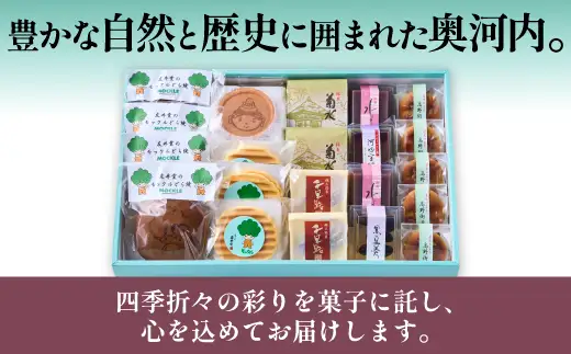 友井堂 和菓子詰め合わせAセット21個入 15015-40000877