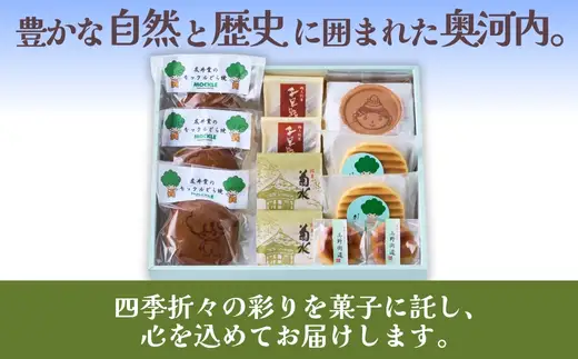 奥河内 和の恵み詰合せ 友井堂 和菓子詰め合わせBセット12個入 