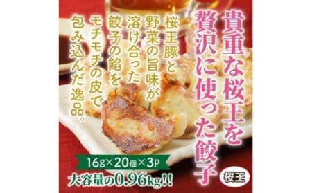 くにさき桜王豚の餃子60個/計0.96kg _1066R