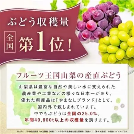 【2026年発送】大人気!シャインマスカット秀 1.2kg(2～3房)【配送不可地域：離島】【1442579】