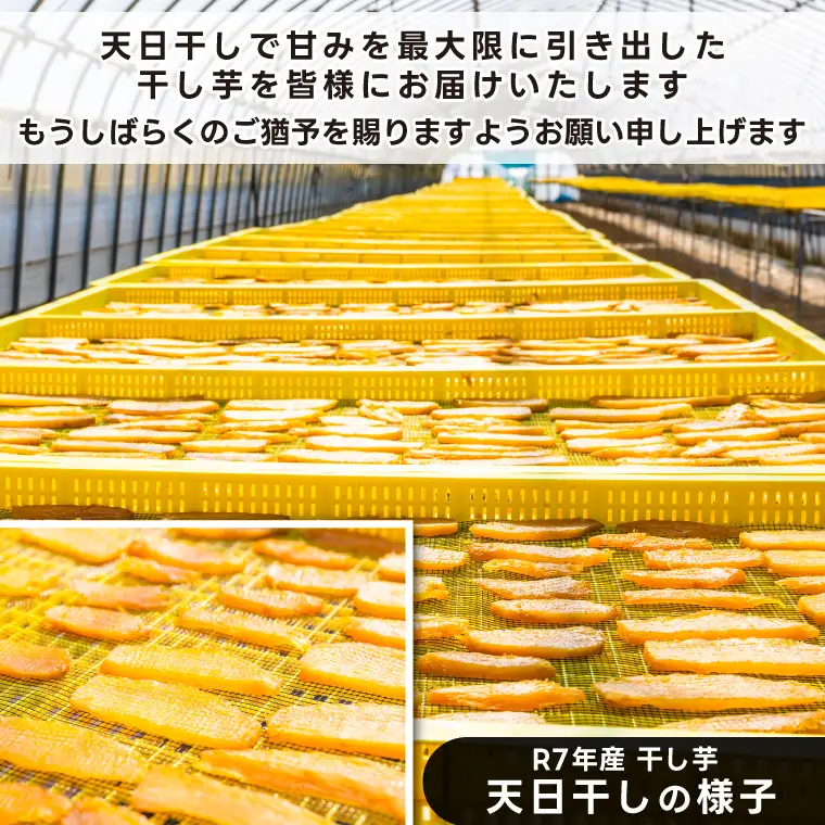 【予約】 干し芋 訳あり 2kg 数量限定 干し芋