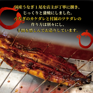 【 3ヶ月定期便 】 国産 うなぎの蒲焼 約180g×2尾 タレ付 うなぎ うなぎ うなぎ うなぎ うなぎ うなぎ