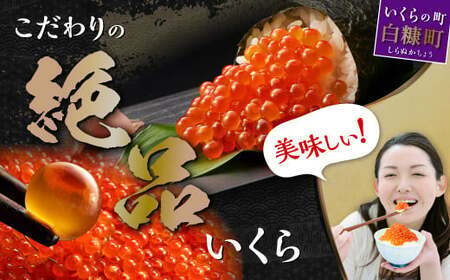 いくら醤油漬（鮭卵） 800g(200g×2パック×2箱)_K044-1677