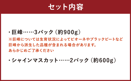 ご家庭用 旬のぶどう食べ比べ 完熟巨峰 シャインマスカット 詰め合わせ 計5パック 約1.5kg 【2026年8月下旬～9月下旬迄発送予定】ぶどう 葡萄 ブドウ 果物 フルーツ